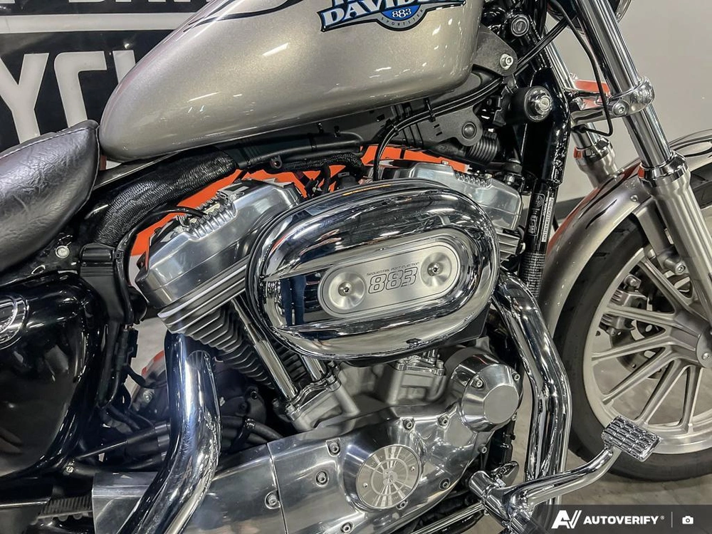 2009 Harley-davidson Xl883l Superlow alt