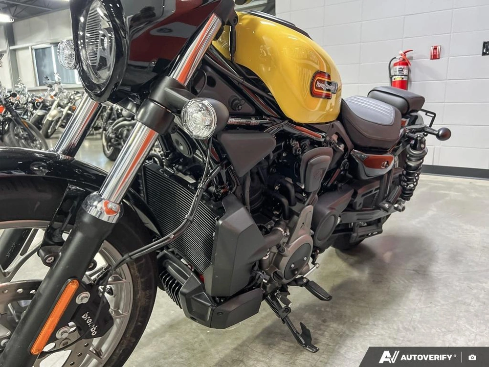 2023 Harley-davidson Rh975s - Nightster™ Special alt