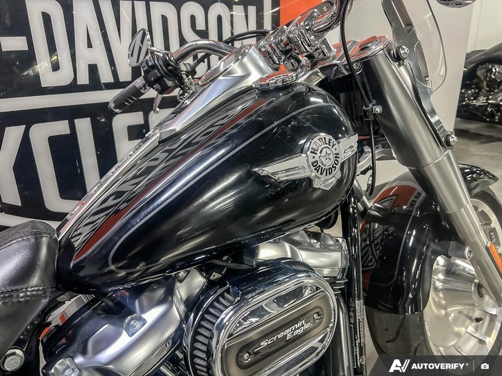 2019 Harley-davidson Flfbs - Fat Boy® 114 alt