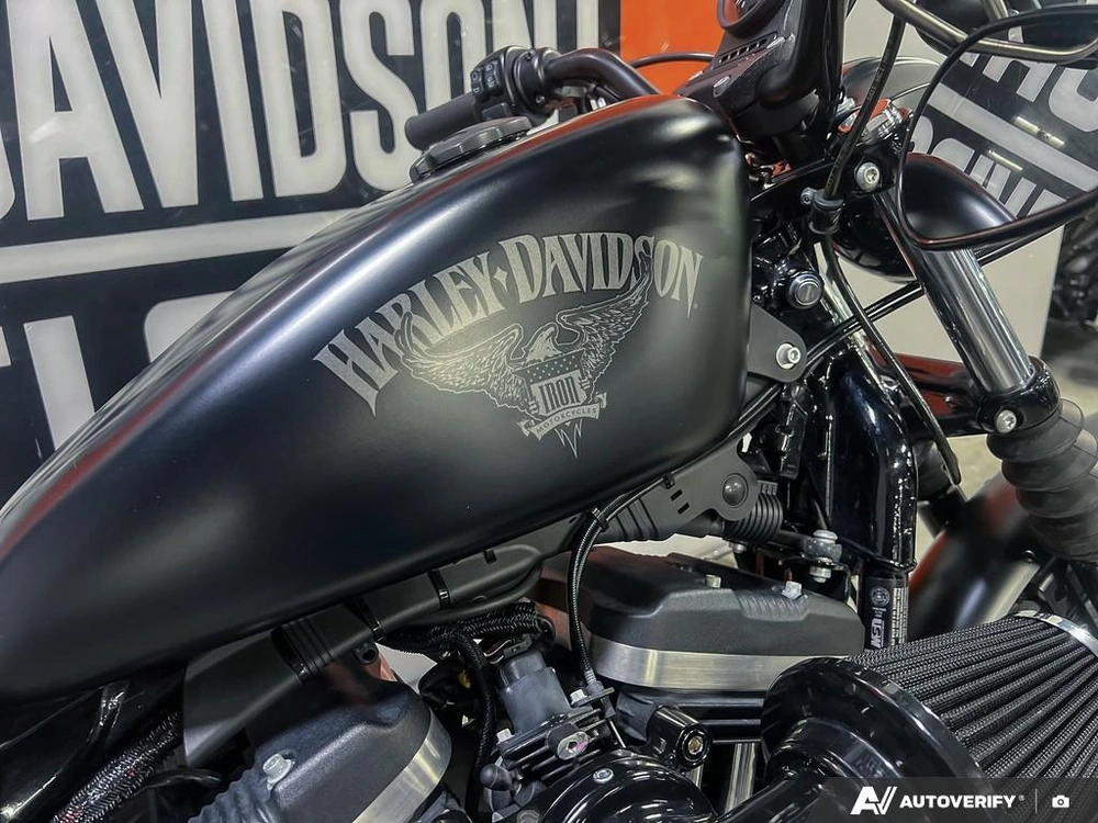 2017 Harley-davidson Xl883n - Iron 883™ alt