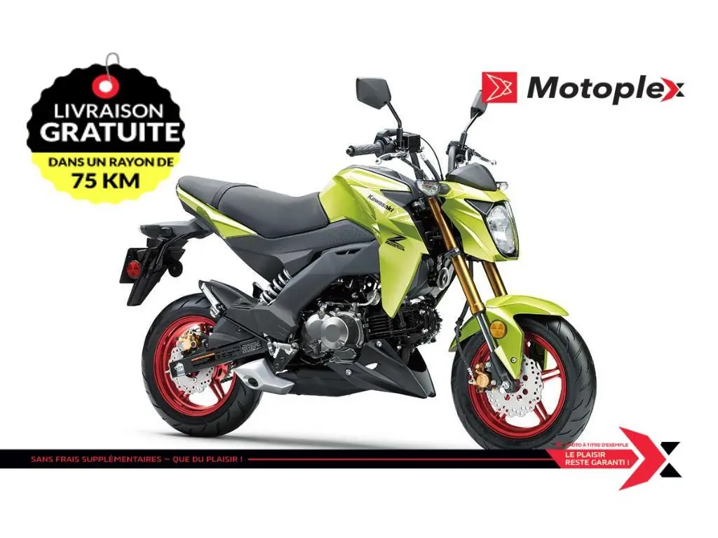 2026 Kawasaki Z125 Pro