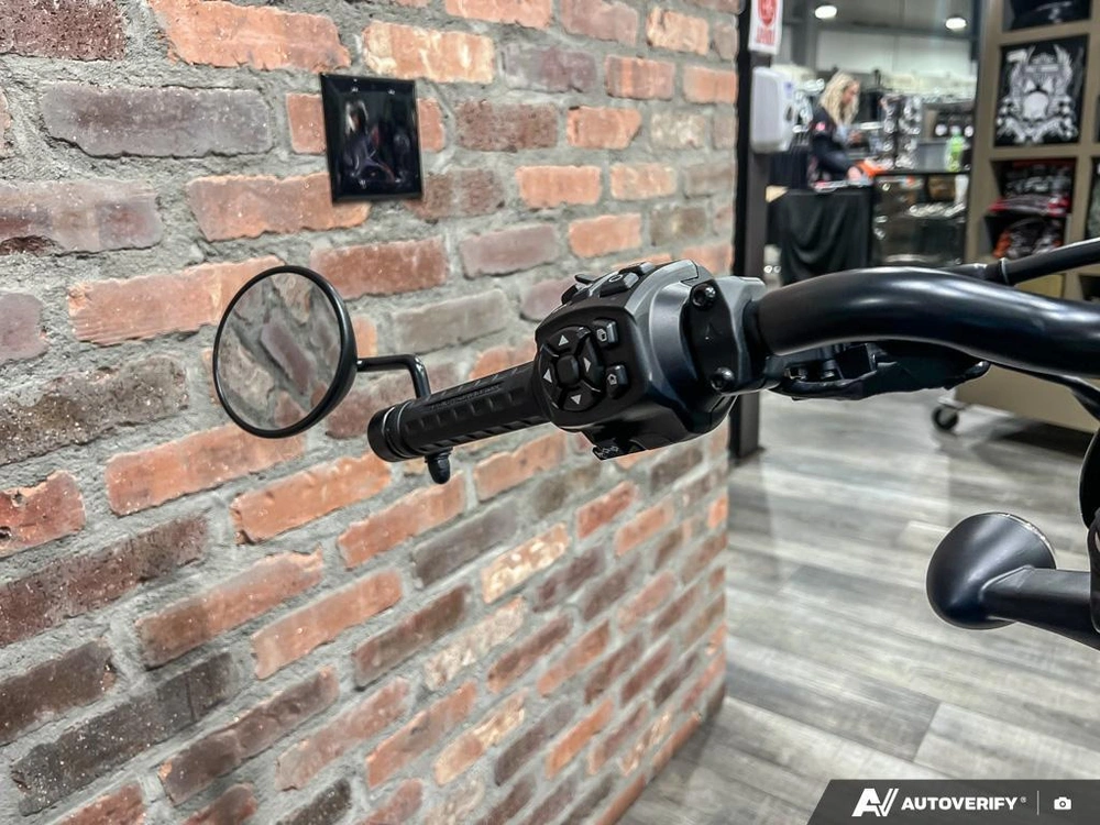 2025 Harley-davidson Rh975s - Nightster® Special alt