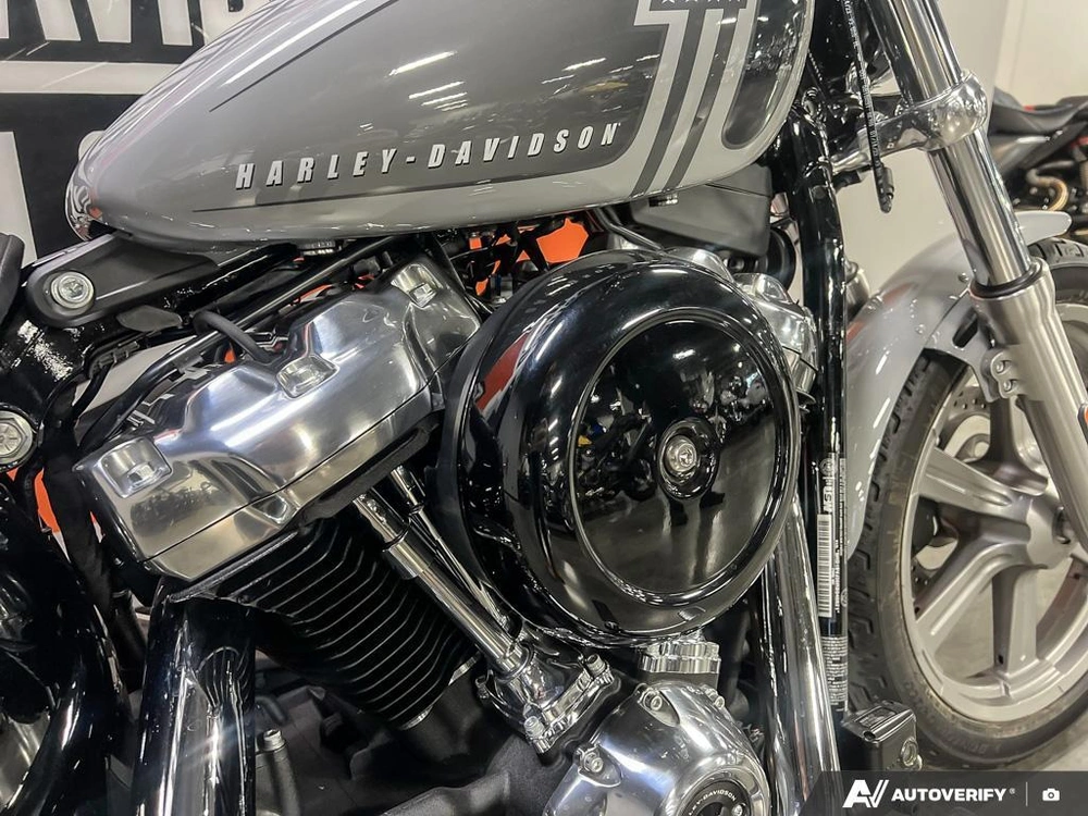 2024 Harley-davidson Fxst - Softail™ Standard alt