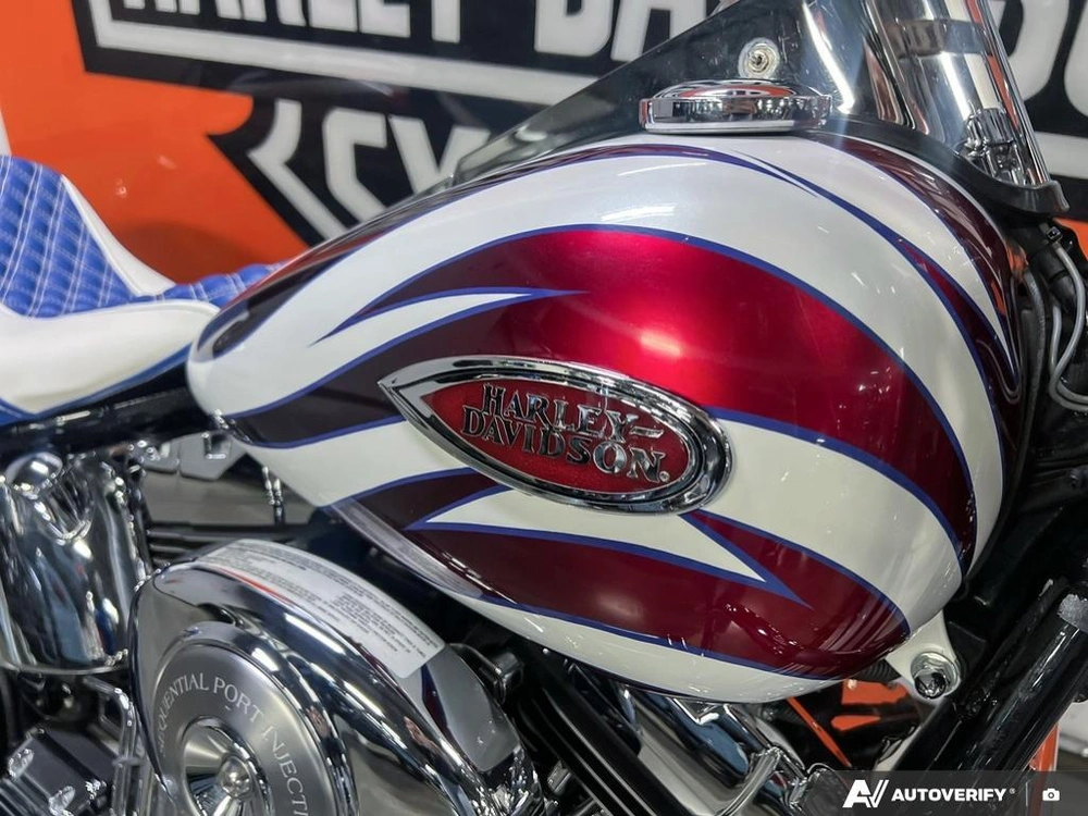 2004 Harley-davidson Flstci Heritage Classic alt