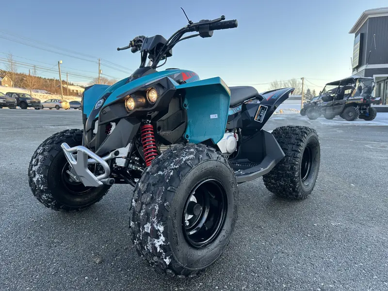 2025 Can-Am Renegade 110 EFI