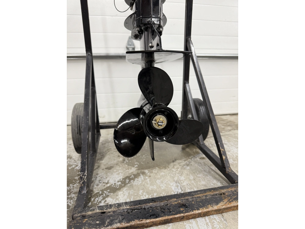 2019 Mercury F15elh alt