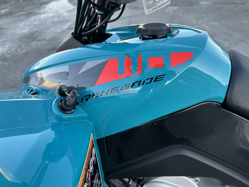 2025 Can-Am Renegade 110 EFI