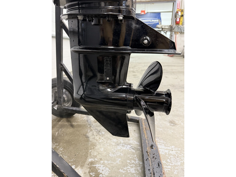 2019 Mercury F15elh alt