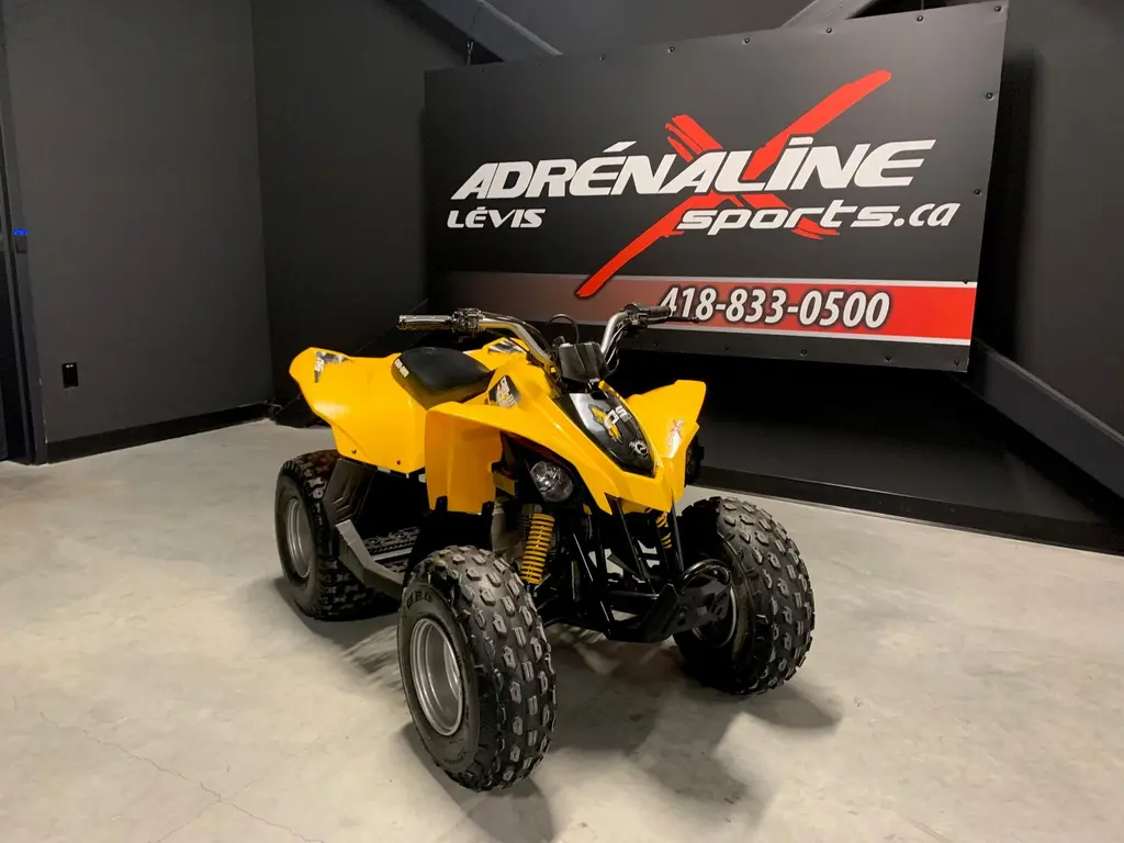 2015 Can-Am DS90