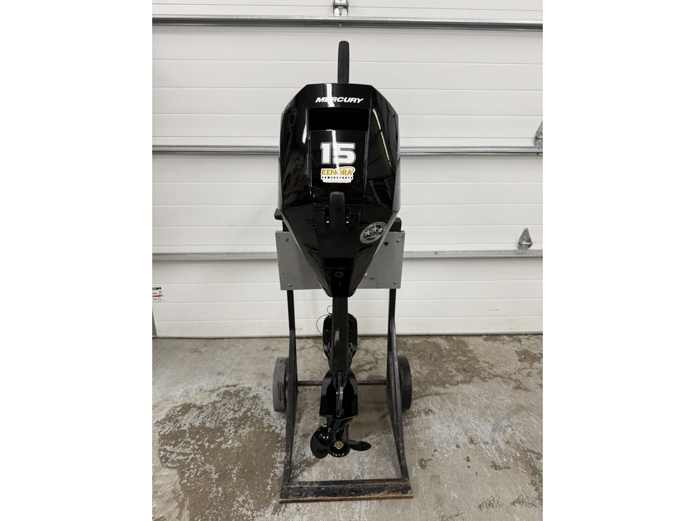 2019 Mercury F15elh alt