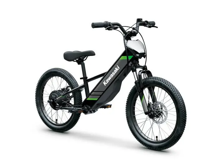 2025 Kawasaki KSK050ASFNN