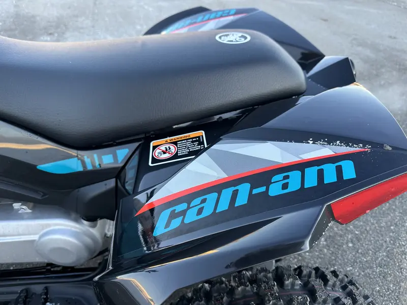 2025 Can-Am Renegade 110 EFI