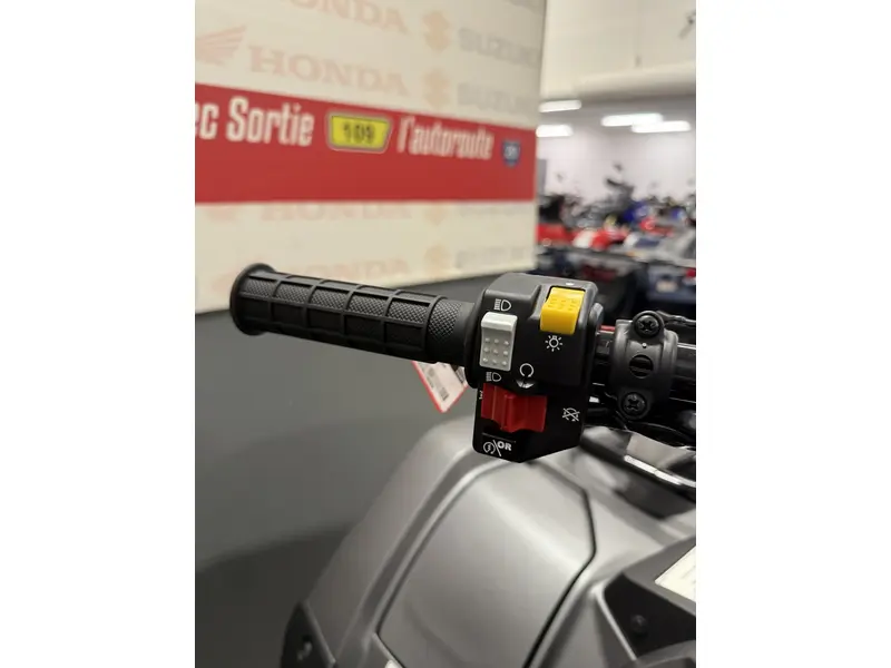 2025 Honda TRX520 RUBICON IRS EPS TRX520FM6SS
