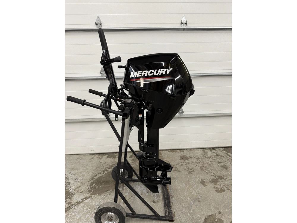 2019 Mercury F15elh alt