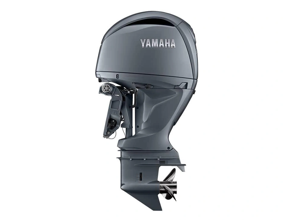 Yamaha F175xcb 2025 alt