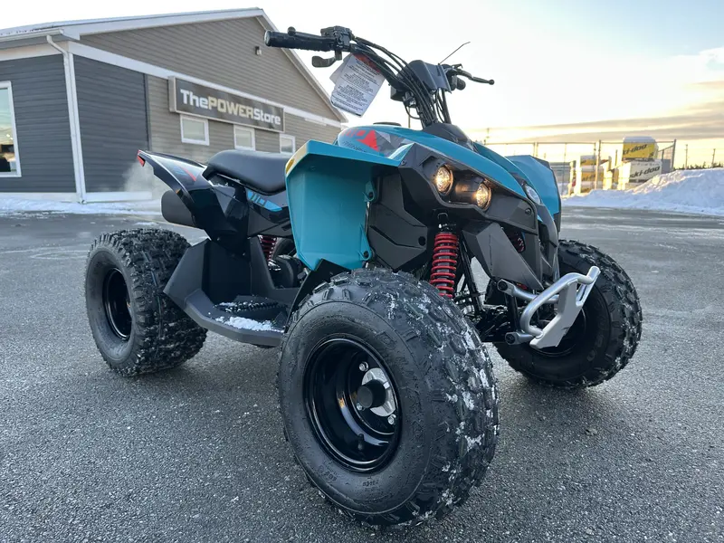 2025 Can-Am Renegade 110 EFI