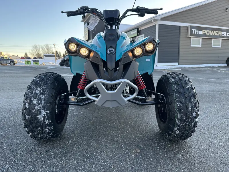 2025 Can-Am Renegade 110 EFI