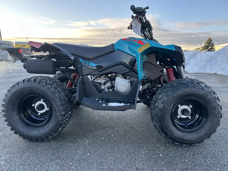 2025 Can-Am Renegade 110 EFI