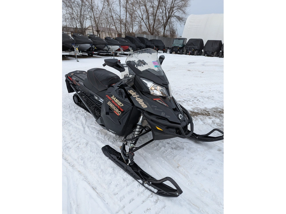 2017 Ski-doo 2017 Renegade Enduro 1200 alt
