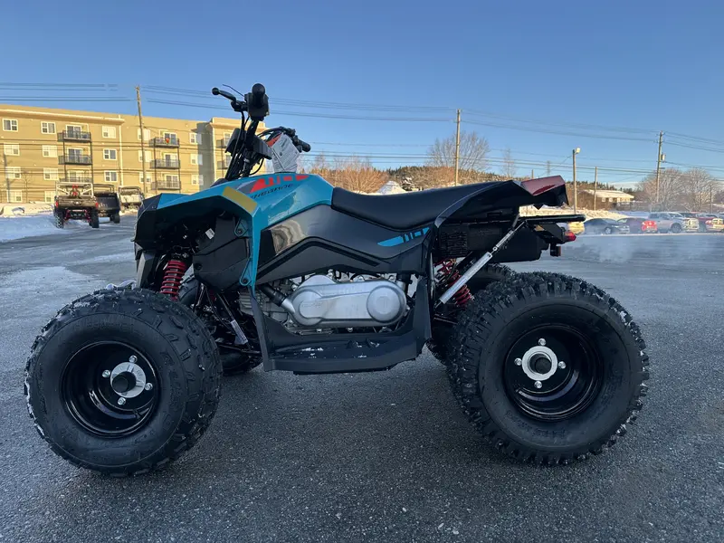 2025 Can-Am Renegade 110 EFI
