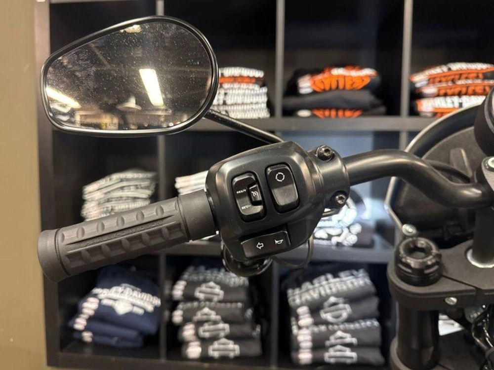 2025 Harley-davidson Fxlrs - Low Rider® S alt