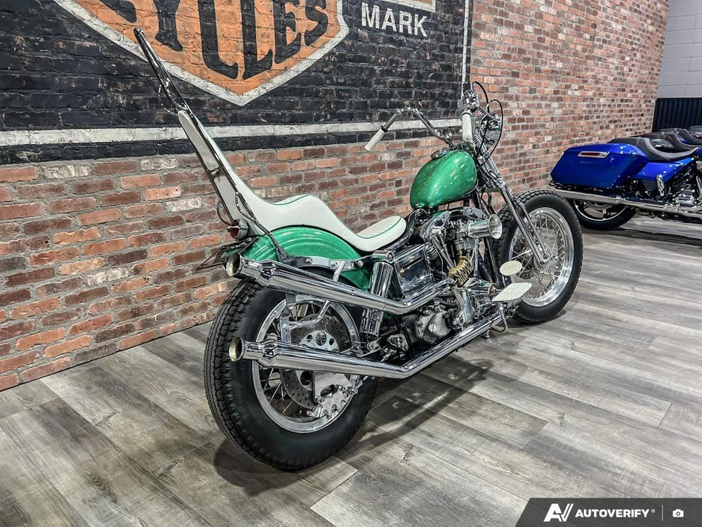 1981 Harley-davidson Fxef Custom alt