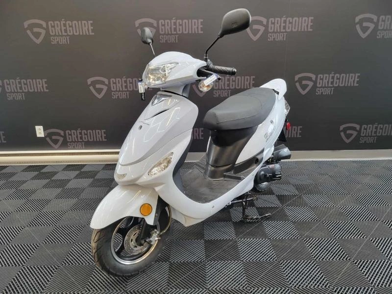 Scootterre Bistro 2023 alt