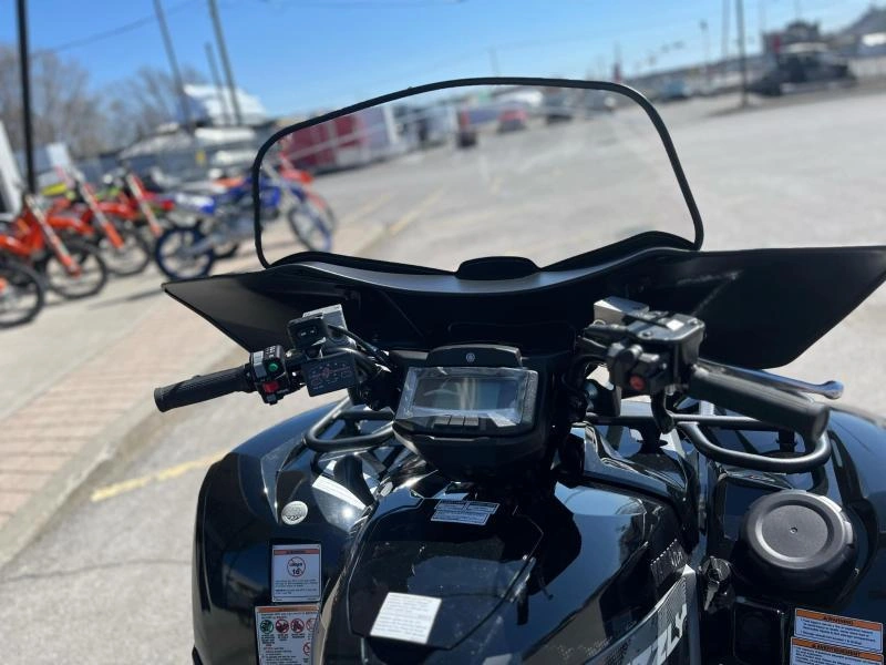 Yamaha Grizzly Dae Se 2025 alt