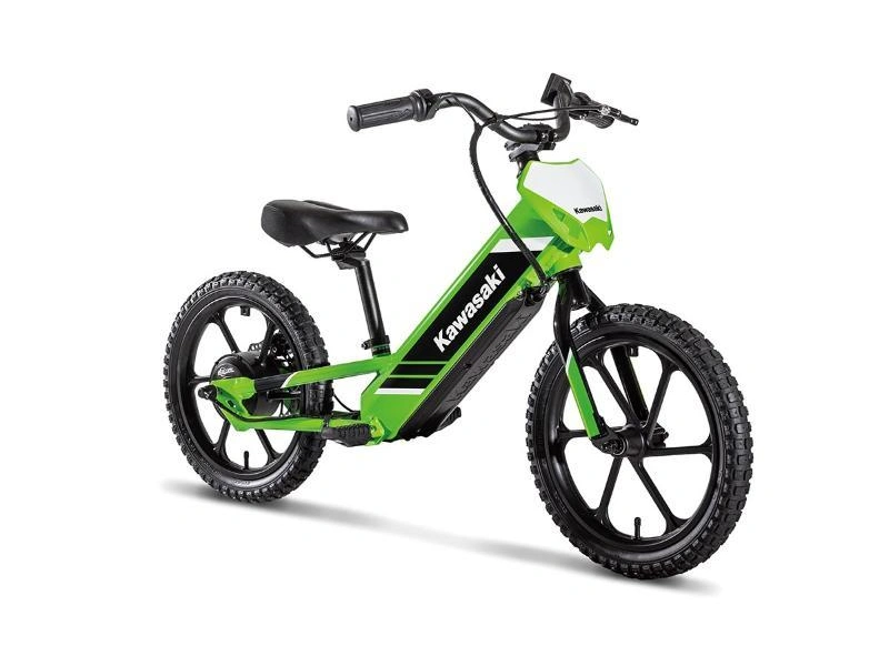 Kawasaki Elektrode 16 2025 alt