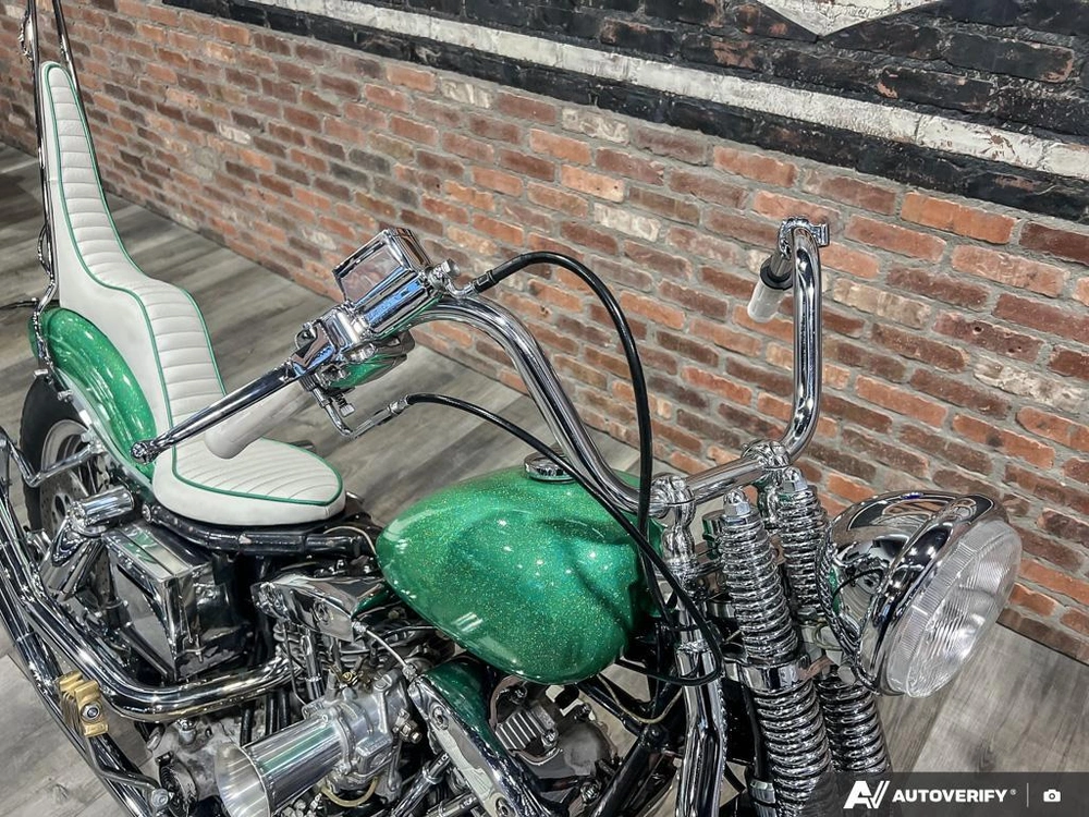 1981 Harley-davidson Fxef Custom alt