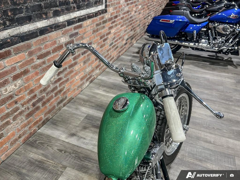 1981 Harley-davidson Fxef Custom alt