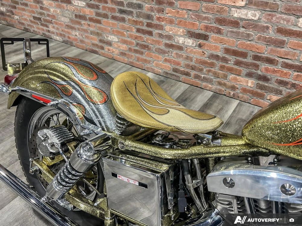 1975 Harley-davidson Fl-custom alt