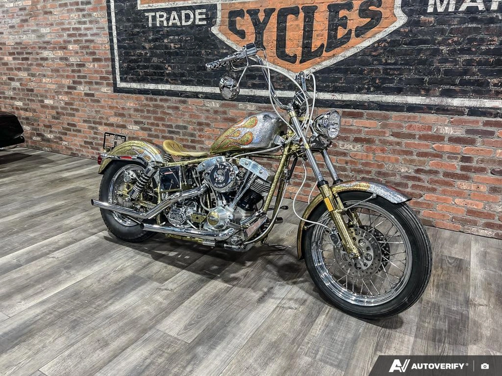 1975 Harley-davidson Fl-custom alt