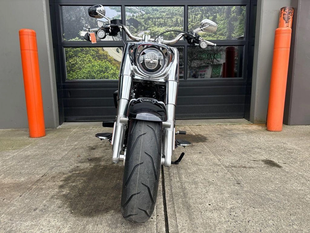 2025 Harley-davidson Flfb - Fat Boy™ alt