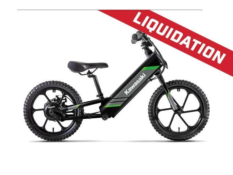 2025 Kawasaki Elektrode 16 alt