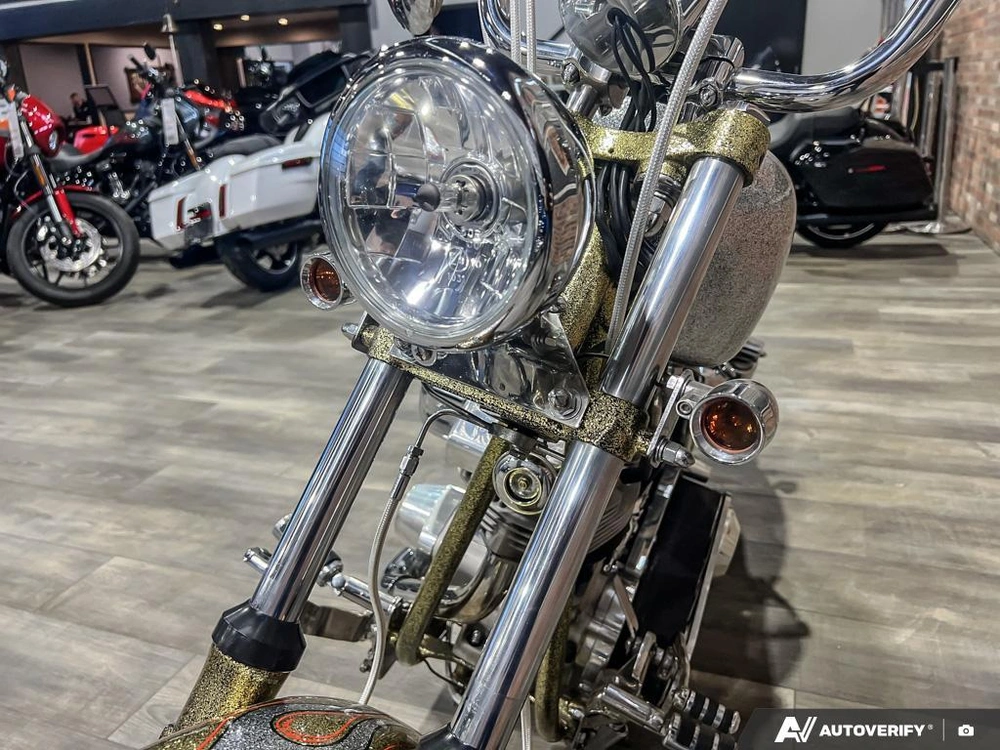 1975 Harley-davidson Fl-custom alt