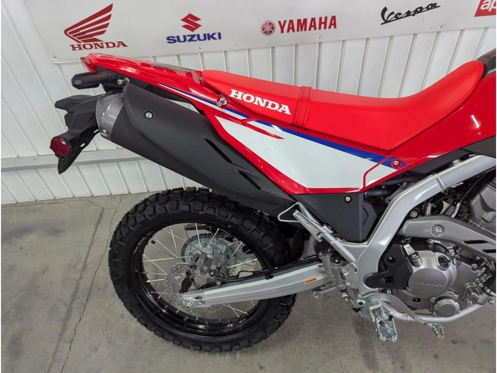 2025 Honda Crf300l alt