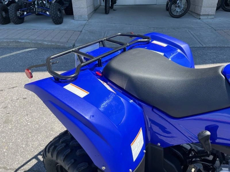 Yamaha Grizzly 110 2025 alt