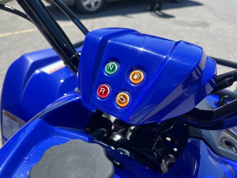 Yamaha Grizzly 110 2025 alt