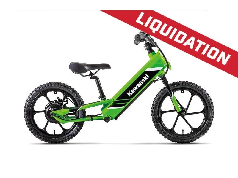 Kawasaki Elektrode 16 2025 alt