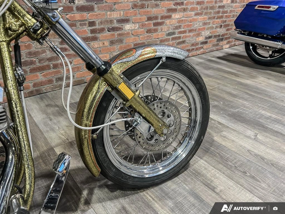 1975 Harley-davidson Fl-custom alt