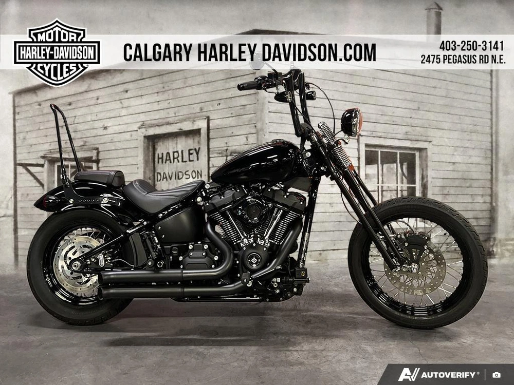 2023 Harley-davidson Street Bob alt