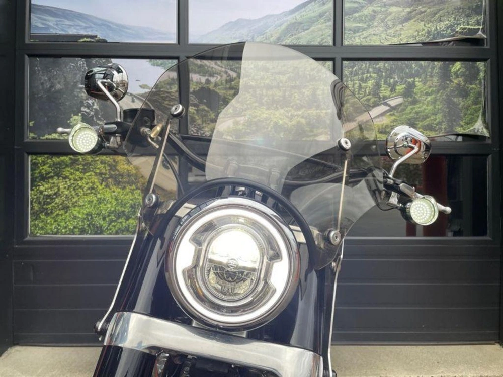 2021 Harley-davidson Flsl - Softail Slim™ alt