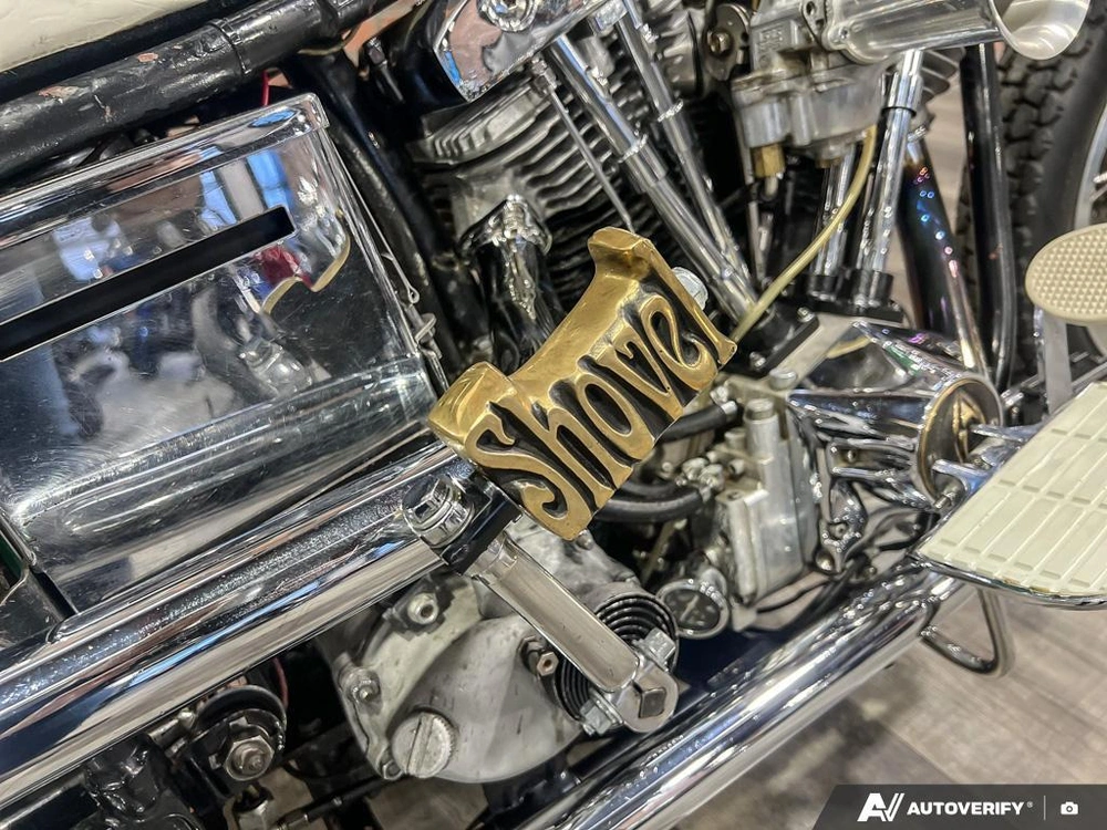 1981 Harley-davidson Fxef Custom alt