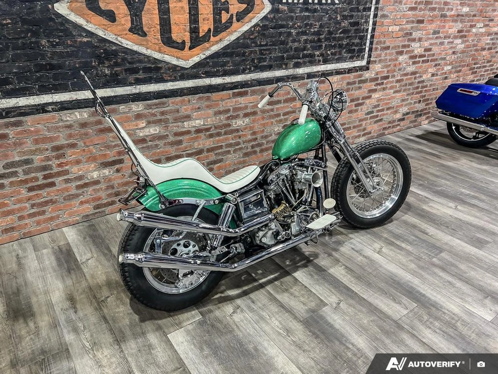 1981 Harley-davidson Fxef Custom alt