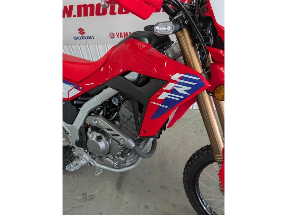 2025 Honda Crf300l alt