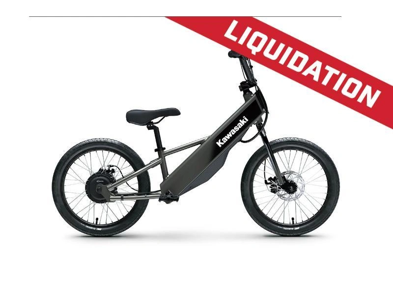 2025 Kawasaki Elektrode 20fs alt