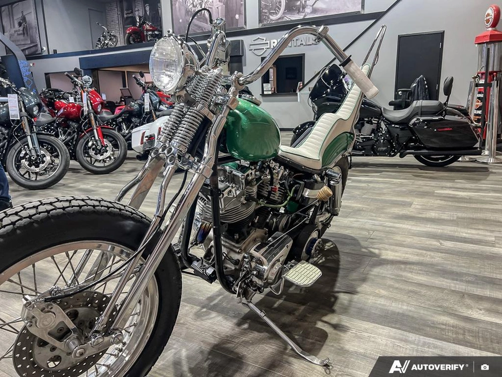 1981 Harley-davidson Fxef Custom alt