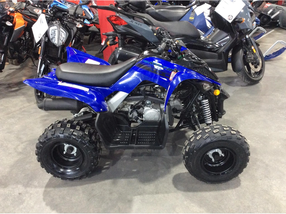 Yamaha Raptor 110 Yf11rsl 2025 alt