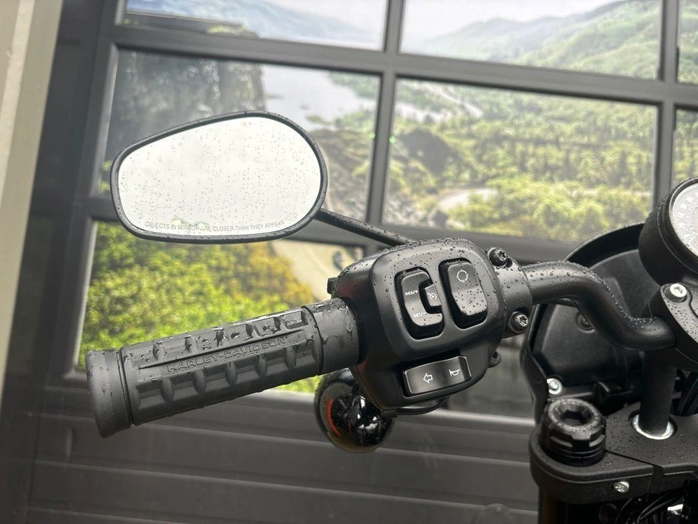 2025 Harley-davidson Fxlrs - Low Rider® S alt